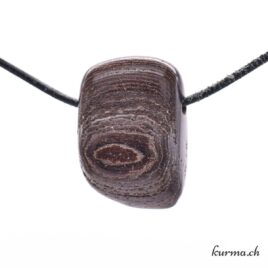 Bois pétrifié - Pendentif en pierre
