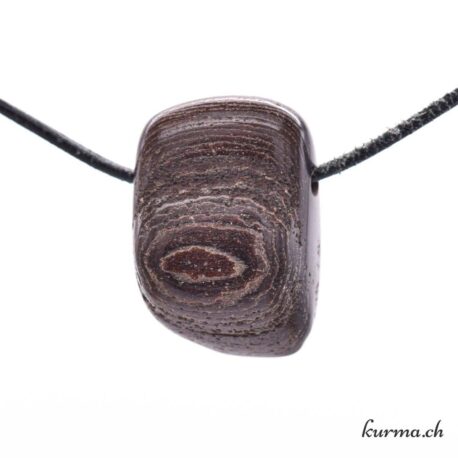 Bois pétrifié - Pendentif en pierre