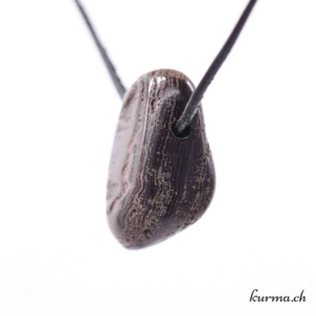 Bois pétrifié - Pendentif en pierre