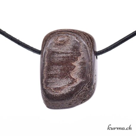 Bois pétrifié - Pendentif en pierre