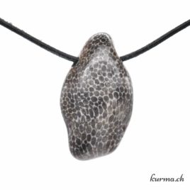 Bryozoaire ”Corail noir fossile” – Collier en pierre percée – N°10529.7