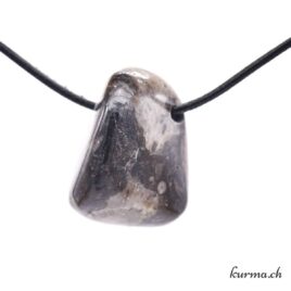 Marbre fossile pendentif en pierre percée