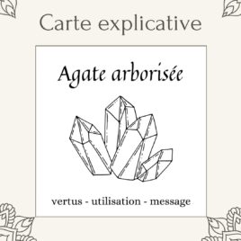 Carte lithothérapie Agate Arborisée