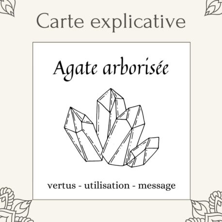 Agate arborisée disponible dans la boutique en ligne Kûrma. Votre magasin de pierre et minéraux en suisse