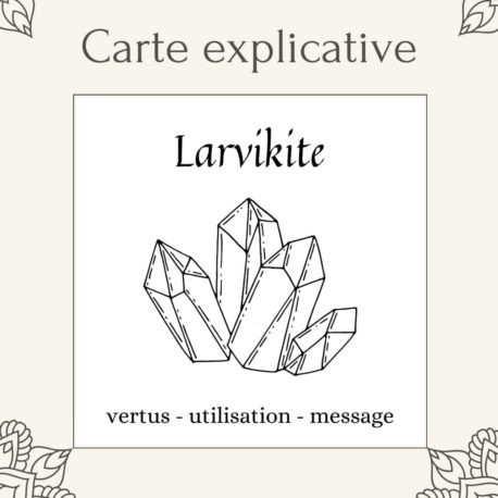 Larvikite disponible dans la boutique en ligne Kûrma. Votre magasin de pierre et minéraux en suisse