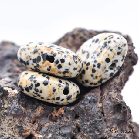 Pendentif en Jaspe dalmatien - Aplite pierre percée
