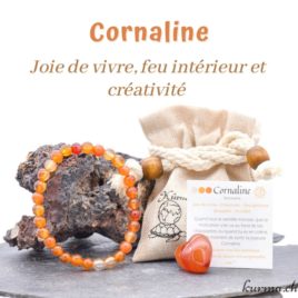 Pack – Coeur / Bracelet / Pochette Cornaline – N°14306
