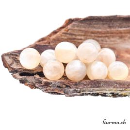 Pierre de lune crème-beige – Perles 8-8.5mm – N°13679