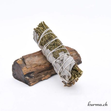 Sauge Blanche et Arruda 25gr 10cm - Nº13995-1 disponible dans la boutique en ligne Kûrma. Votre magasin de pierre et minéraux en suisse