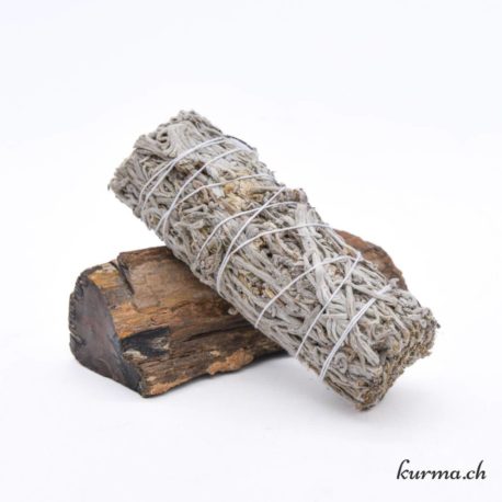 Sauge Verte Fagot 10cm - Nº14134-1 disponible dans la boutique en ligne Kûrma. Votre magasin de pierre et minéraux en suisse