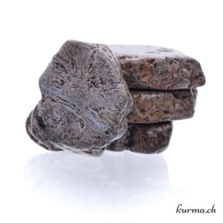 Pierre Roulée Coprolithe L - N°8679.6-1 disponible dans la boutique en ligne Kûrma. Votre magasin de pierre et minéraux en suisse