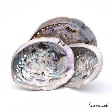 Abalone 10-20cm - Nº14483-3 disponible dans la boutique en ligne Kûrma. Votre magasin de pierre et minéraux en suisse