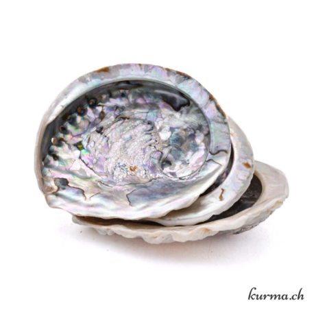 Abalone 12-14cm - Nº14478-1 disponible dans la boutique en ligne Kûrma. Votre magasin de pierre et minéraux en suisse