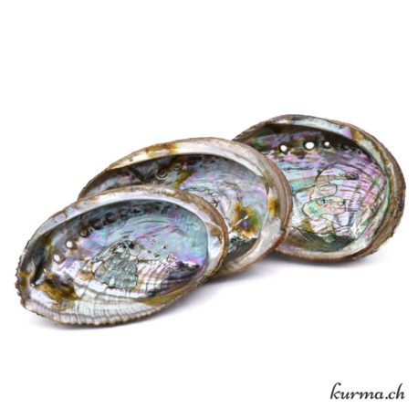 Abalone Verte ''Haliotis'' 10-12cm - Nº14479-3 disponible dans la boutique en ligne Kûrma. Votre magasin de pierre et minéraux en suisse