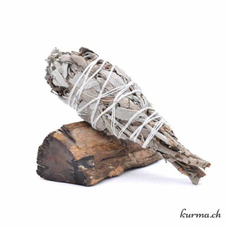 Sauge Blanche Californie Torche 20-25gr - Nº14481-1 disponible dans la boutique en ligne Kûrma. Votre magasin de pierre et minéraux en suisse