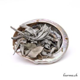 Assortiment Fumigation – Feuilles de sauge blanche, Abalone (coquille d’Ormeau) – N°14630