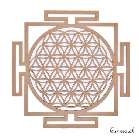 Disque Fleur de Vie Yantra Bois 30cm-1 disponible dans la boutique en ligne Kûrma. Votre magasin de pierre et minéraux en suisse