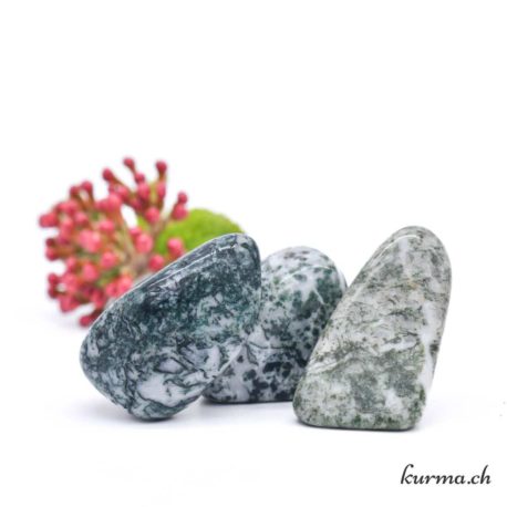 Pierre Roulée Agate arborisée M 3 disponible dans la boutique en ligne Kûrma. Votre magasin de pierre et minéraux en suisse