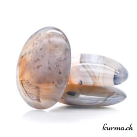 Agate dendritique – Galet – Taille XXL