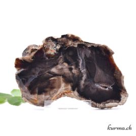 Bois fossilisé – Minéraux – 127gr – N°5178.3