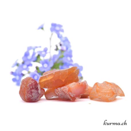 Minéraux Opale de Feu Brute-6 disponible dans la boutique en ligne Kûrma. Votre magasin de pierre et minéraux en suisse