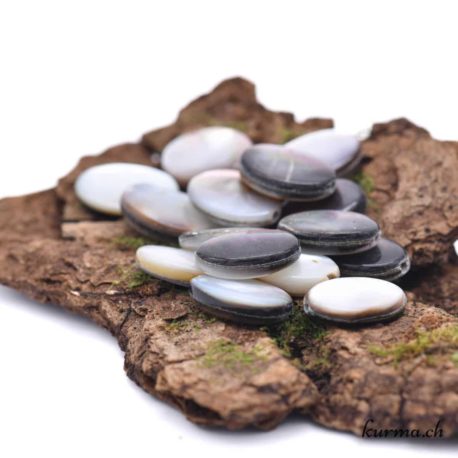 Perle Coquille de Perle Noire Ovale Plate 10x14mm-1 disponible dans la boutique en ligne Kûrma. Votre magasin de pierre et minéraux en suisse
