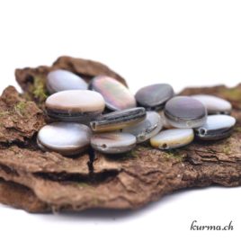 Perles Coquille de perles noire 10mm