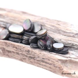 Coquille de perles noire Ovale – Perles 8x12mm – N°9197