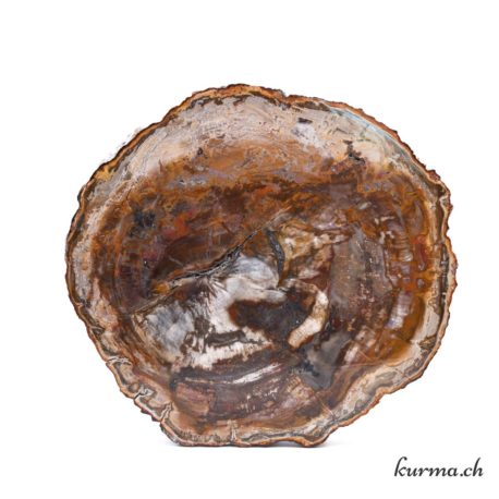 Minéraux Bois Fossilisé-50 disponible dans la boutique en ligne Kûrma. Votre magasin de pierre et minéraux en suisse