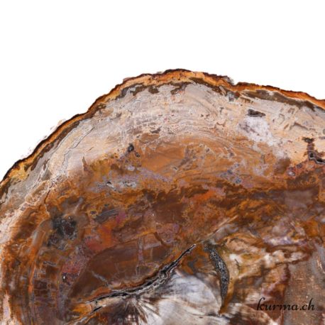 Minéraux Bois Fossilisé-52 disponible dans la boutique en ligne Kûrma. Votre magasin de pierre et minéraux en suisse