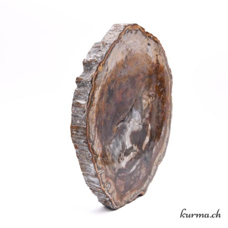 Minéraux Bois Fossilisé-53 disponible dans la boutique en ligne Kûrma. Votre magasin de pierre et minéraux en suisse