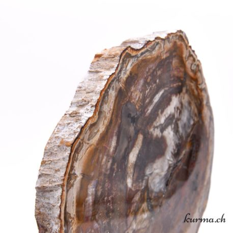 Minéraux Bois Fossilisé-54 disponible dans la boutique en ligne Kûrma. Votre magasin de pierre et minéraux en suisse