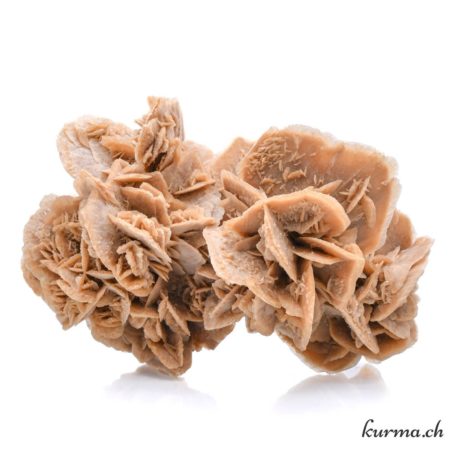Rose des Sables-5 disponible dans la boutique en ligne Kûrma. Votre magasin de pierre et minéraux en suisse