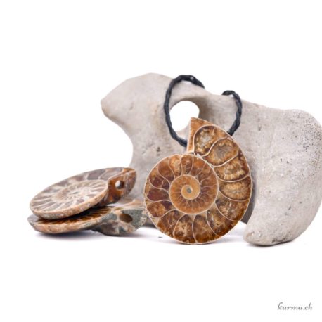 Acheter Pendentif Ammonite - N°7953-1 dans la boutique en ligne Kûrma. Spécialisé dans des pierres de qualité directement importer depuis les artisans lapidaires.
