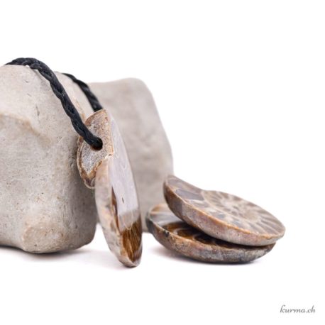 Acheter Pendentif Ammonite - N°7953-2 dans la boutique en ligne Kûrma. Spécialisé dans des pierres de qualité directement importer depuis les artisans lapidaires.
