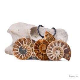 Pendentif en Ammonite pierre percée