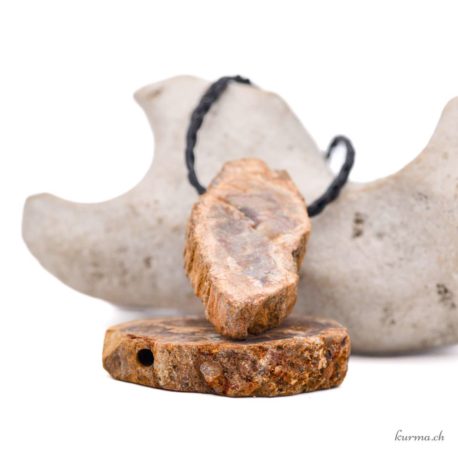 Acheter Pendentif Bois Pétrifié - N°5893-1 dans la boutique en ligne Kûrma. Spécialisé dans des pierres de qualité directement importer depuis les artisans lapidaires.