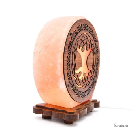 Lampe de Sel Arbre de Vie Celte 5kg - N°15816-2 disponible en ligne et dans la boutique Kûrma. Votre magasin  de pierre et minéraux en Suisse