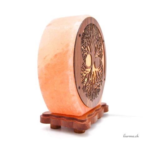 Lampe de Sel Arbre de Vie Yin Yang 5kg - N°15817-2 disponible en ligne et dans la boutique Kûrma. Votre magasin  de pierre et minéraux en Suisse
