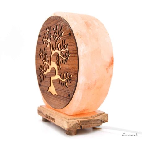 Lampe de Sel Himalaya Arbre de Vie 5kg - N°15814-4 disponible en ligne et dans la boutique Kûrma. Votre magasin  de pierre et minéraux en Suisse