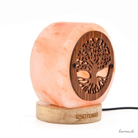 Lampe de Sel USB Arbre de Vie bis 1kg - N°15821-3 disponible en ligne et dans la boutique Kûrma. Votre magasin  de pierre et minéraux en Suisse