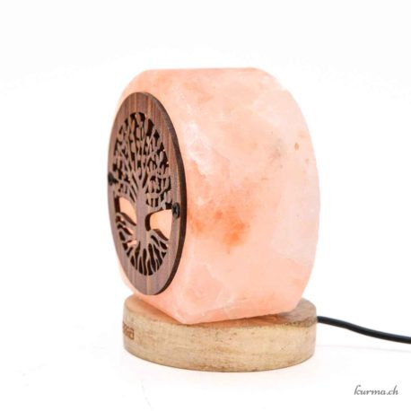 Lampe de Sel USB Arbre de Vie bis 1kg - N°15821-4 disponible en ligne et dans la boutique Kûrma. Votre magasin  de pierre et minéraux en Suisse
