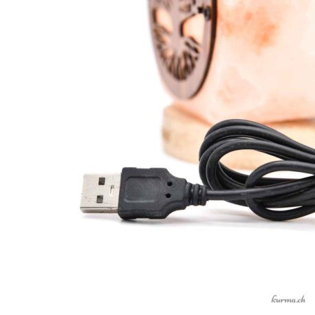 Lampe de Sel USB Arbre de Vie bis 1kg - N°15821-5 disponible en ligne et dans la boutique Kûrma. Votre magasin  de pierre et minéraux en Suisse