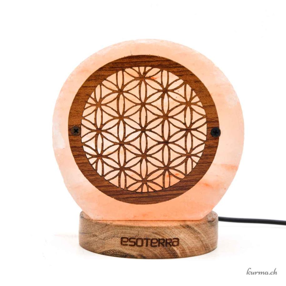 Guirlande Lumineuse Himalayenne USB – 10 Perles De Sel – Veilleuse Décorative Pour Chambre, Bureau – Ambiance Apaisante, Lumière Douce