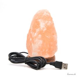 Lampe de Sel de l'Himalaya USB Brute