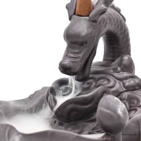 Porte Encens Backflow Dragon 16cm - N°15776-3 disponible en ligne et dans la boutique Kûrma. Votre magasin  de pierre et minéraux en Suisse