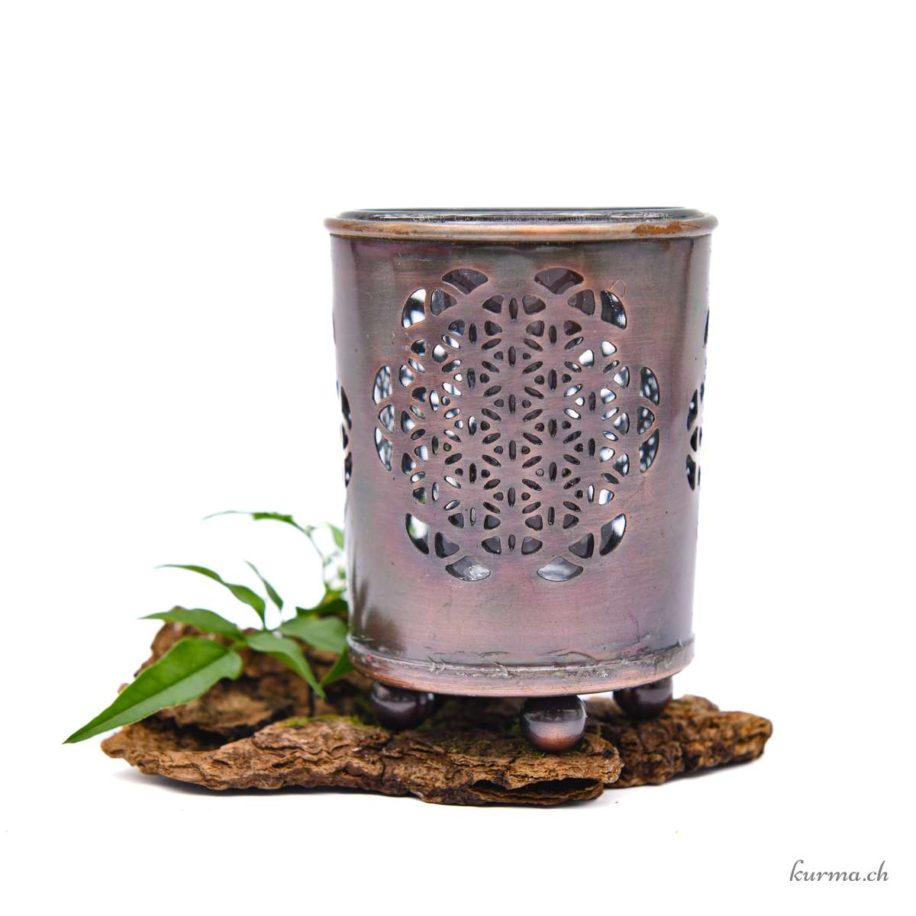 Sachet de 5 billes Coccinelle diamètre 16mm