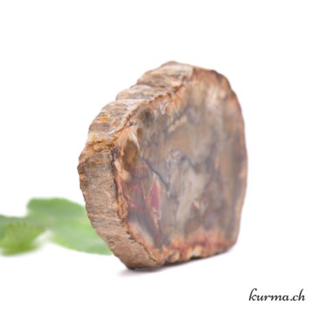 Minéraux Bois Fossilisé-29 disponible dans la boutique en ligne Kûrma. Votre magasin de pierre et minéraux en suisse
