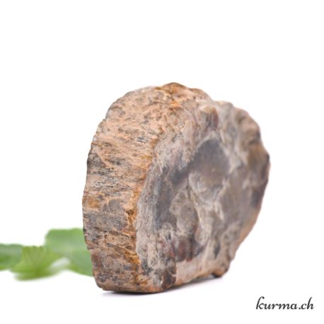 Minéraux Bois Fossilisé-31 disponible dans la boutique en ligne Kûrma. Votre magasin de pierre et minéraux en suisse