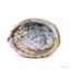 Broche Vintage Kiwi Nouvelle-Zélande - Coquille D'Abalone Et Argenté - Mode